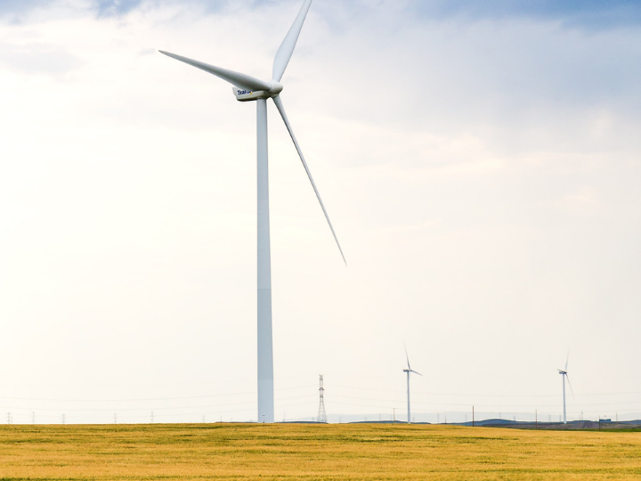 "Business has a critical role to play in the race to decarbonise."