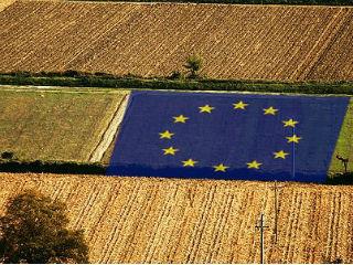 Despite previous reforms, the Common Agricultural Policy (CAP) largely continues to support a resource intensive and high impact agricultural model which is not fit for today’s societal and environmental challenges. And it is very unfair for the average farmer: 80% of all beneficiaries only receive 20% of CAP direct payments. The system is benefitting a rich elite while the majority of small and medium farmers struggle to make a living out of more sustainable farming.