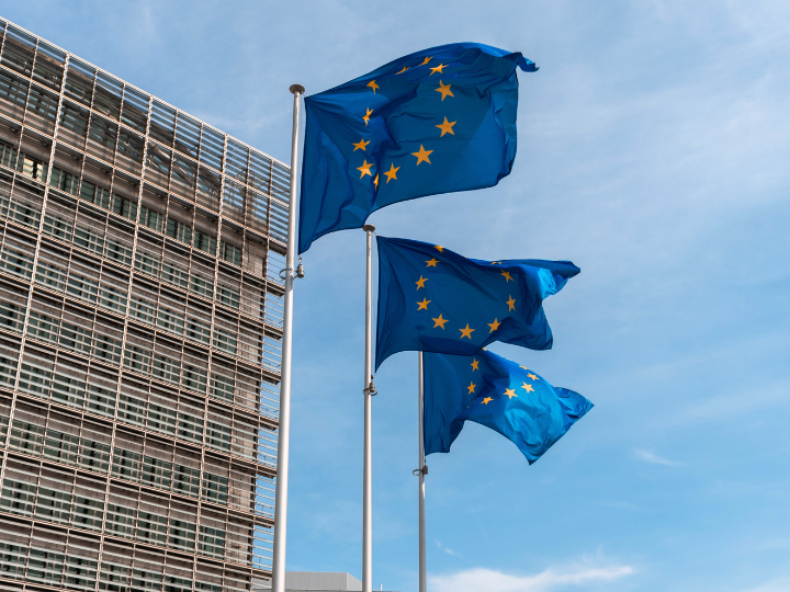 Yet if Brussels is going to open accession negotiations with Ukraine, Moldova, Bosnia and Herzegovina, and grant Georgia the status of a candidate country, the EU in its current form is unprepared. It cannot defend itself. And it is ambiguous about defending the rule of law in its member states.