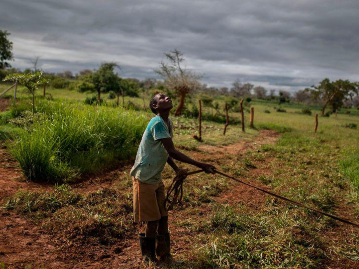 "Shifting energy systems is urgent, to say the least. This has taken the lion’s share of attention when it comes to climate action."