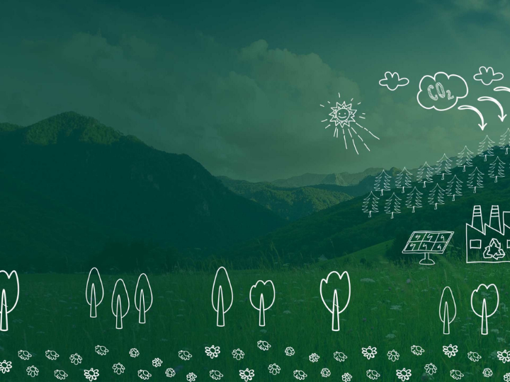 “The EU has been a global leader on green finance with the taxonomy. And now all of a sudden we’re backtracking because there is some very clear criticism from lobbyists, from big business who do not want to see a strong taxonomy.”