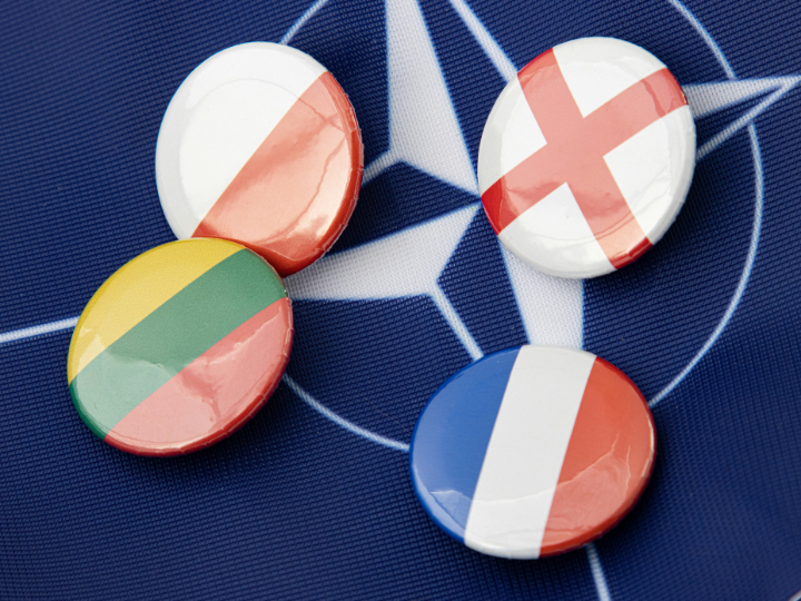 Take Poland. Here is what Sikorski told the Sejm about the country’s role in NATO and the EU, and its own defense.