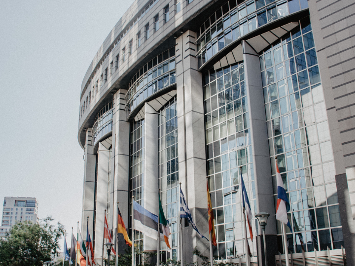 The resolution adopted by MEPs also requests that any new or amended delegated acts should be subject to a public consultation and impact assessments, as they could have significant economic, environmental and social impacts.