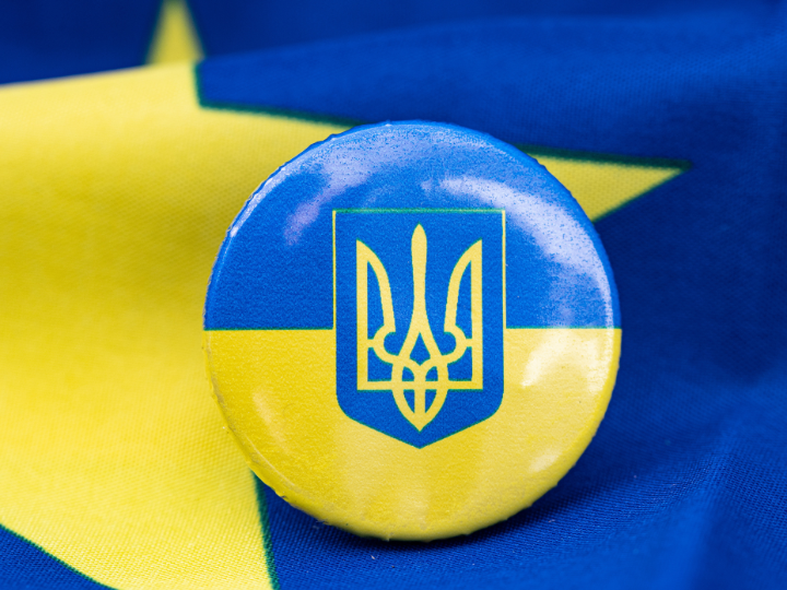 Ukraine is the latecomer of the nine hopefuls wanting to join the EU. But accepting it even as a candidate with years of negotiation ahead poses major difficulties.