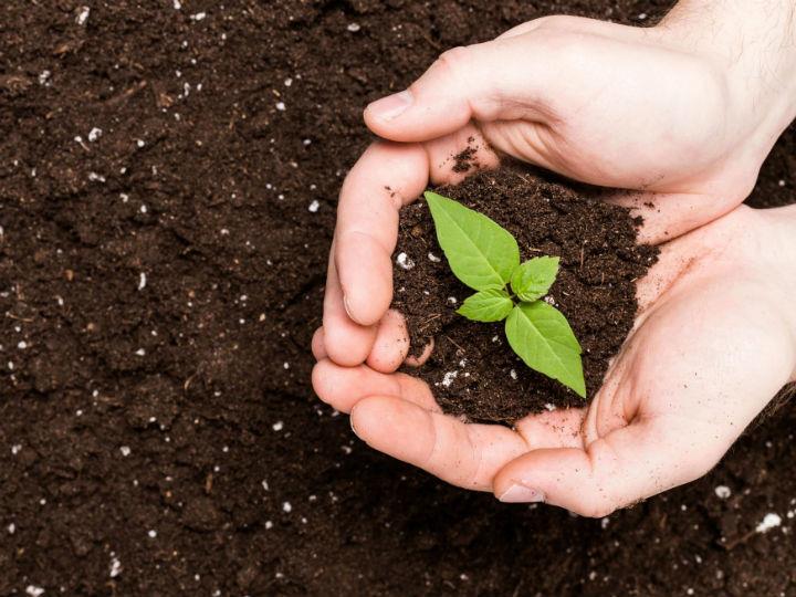 The 2020 ‘Farm to Fork’ package aimed to contain their rival interests within the EU’s ambitious ‘Green Deal’ strategy on climate change, but remains beset by deadlocks.