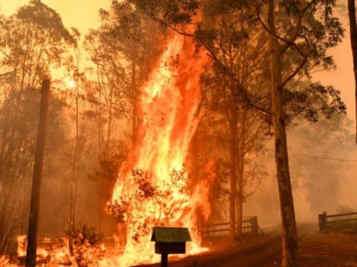 A new crop of rational, well-groomed climate sceptics is pushing a persuasive brand of defeatism that the world cannot afford.