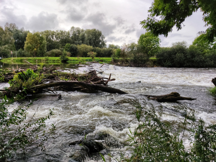 "To assume that the climate has been so badly damaged that it’s too late to “fix” it, or that sections of the public are in denial about the dangers of climate change, reinforces a kind of inevitability."