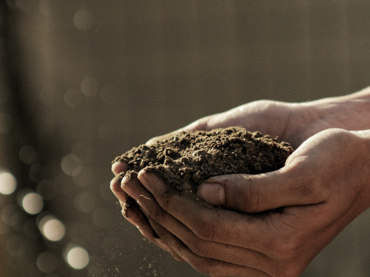 "If 20% of European farmers adopted a climate-smart approach, it would be hugely beneficial for food systems resilience".