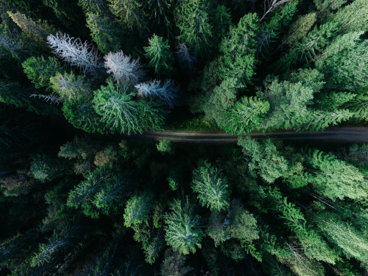 Research shows that 37% of firms are not including water issues in their investment decisions and 48% are not considering forests.