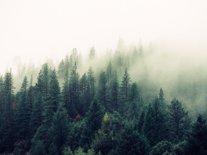 "Public-private stakeholders need to work with nature to help tackle global biodiversity and climate challenges."