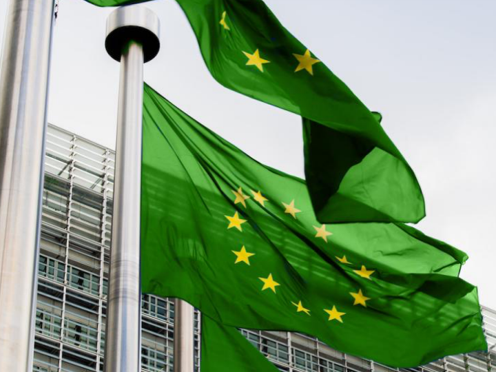 «If Europe plays its cards right, the EU blueprint for pursuing climate neutrality by 2050 could become a truly inspirational manual for other countries and regions.»