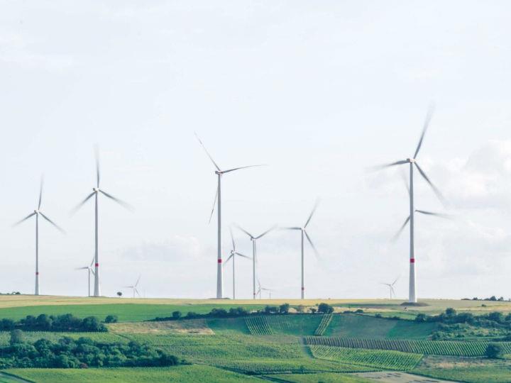 "There is no doubt that investing in the development of renewables is a step in the right direction. Our society will continue to need energy, and so developing and investing in sensible greener energy solutions is crucial."