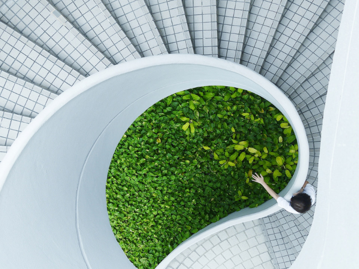 Demand for skills related to the green economy is rising.