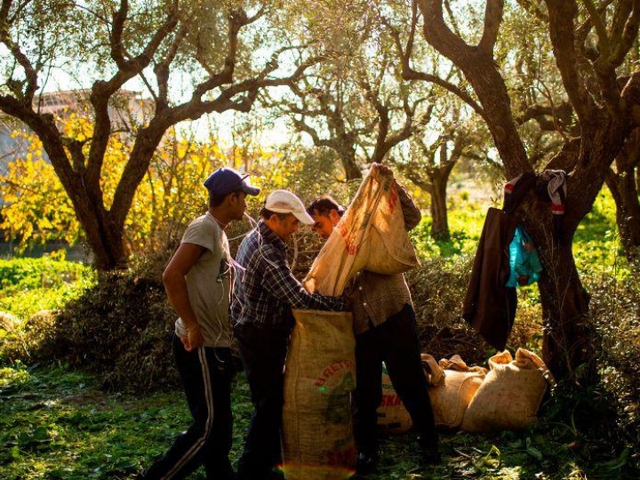 The EU is similarly addicted to labor imported from the Western Balkans but is engaged in a half-hearted effort that focuses solely on factors emanating from the region itself.