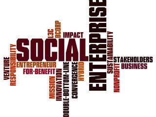 A social business is a business that can create an impact on people, environment, employment and make reasonable profits that are invested back in the company. But a social business never remains a social business forever. Today, sanitation is a social business in India, but when the problem of open defecation will be solved and satisfactory sanitation facilities will be built, it will become a commercial business.