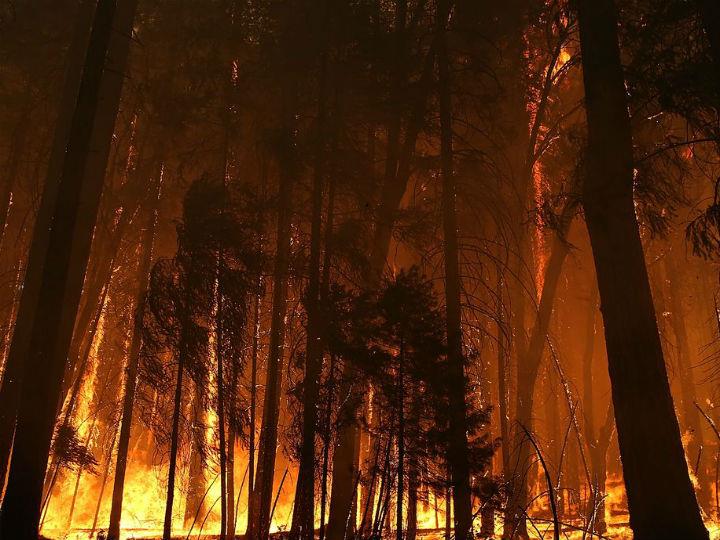 The issue of under-reporting death from heat parallels cases of lightning strikes, in which the direct cause (eg, a falling tree branch or the collapse of a building on fire) is reported without any reference to the indirect cause (ie, the initial lightning strike that triggered events culminating in death).