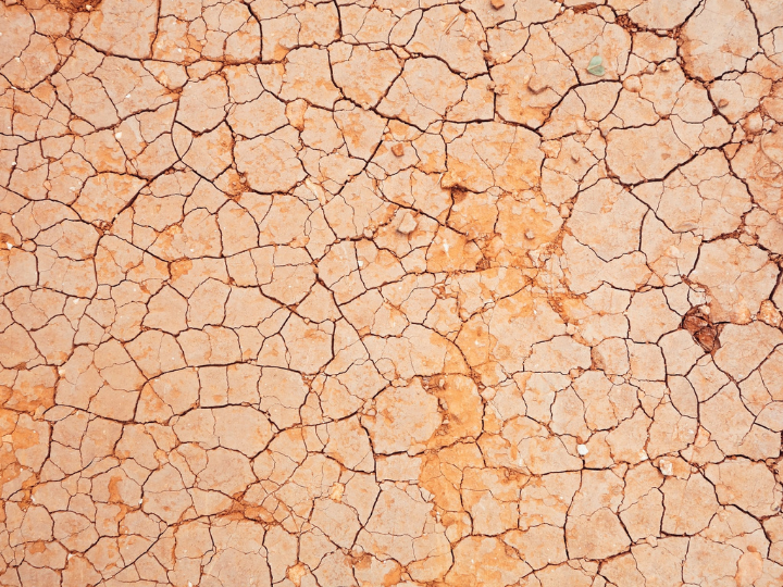 The researchers found that 92 percent of 165 countries studied are expected to experience extremely hot annual temperatures, defined as a once-in-one-hundred-year hot year in the pre-industrial era, every two years.