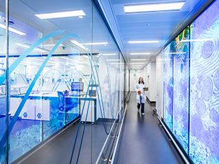 Research and development (R&D) expenditure is certainly one of these factors – and while it doesn’t always directly correlate with innovation outcomes, it does represent time, capital, and effort being put into researching and designing the products of the future