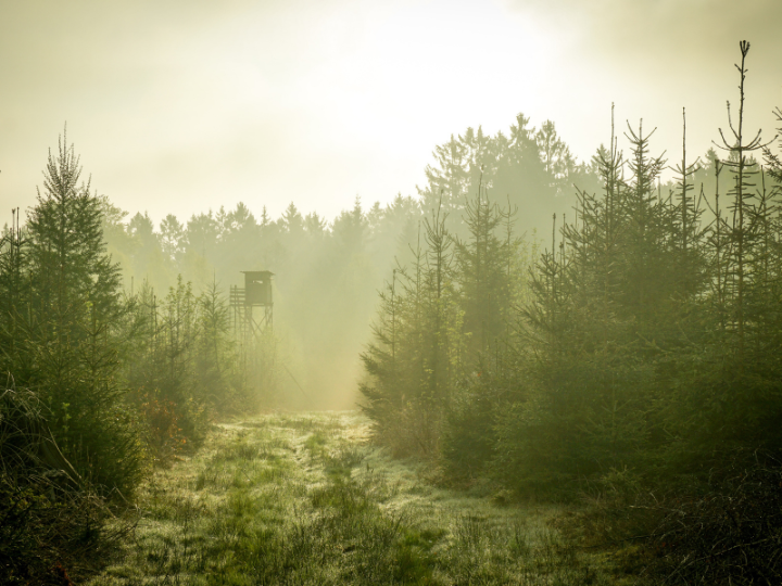 Eagerly awaited by environmentalists and the hunting community, the plan lays out 14 proposals and was presented by Secretary of State for Ecology Berangere Couillard on Monday morning.