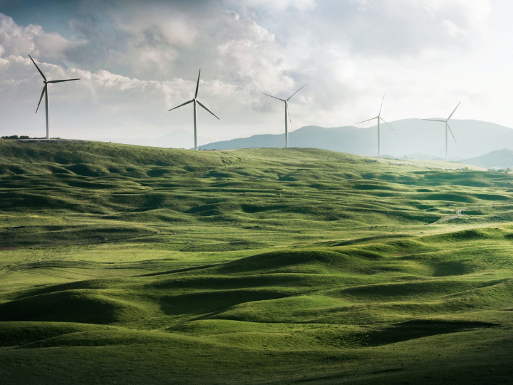 "Northern Europe is in danger of locking itself into a subsidy-dependent blue hydrogen system where all the risks sit with the governments and all the profits with oil and gas companies."