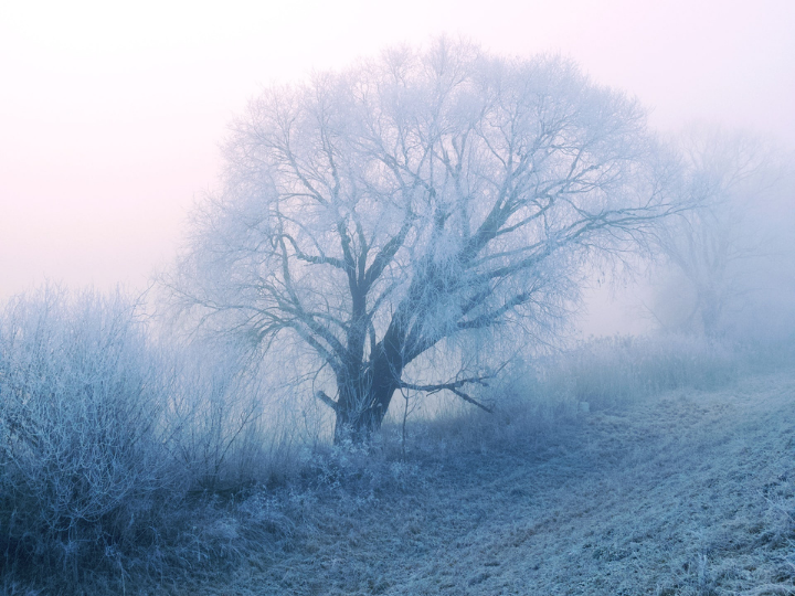 "Europe’s impending energy crisis this winter shows why governments and businesses need to work together to quickly find ways to accelerate energy transition and diversify our energy mix."