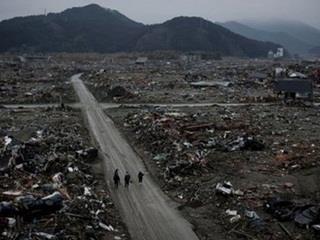 The lesson is that you can no more construct or reconstruct a city than you can a family or a thriving neighborhood or a successful business district. Even if you could rebuild every house, office building, restaurant, grocery store, or health spa exactly as they were before a disaster (natural or manmade), you would not be able to recreate the social order, the community, that lived in them and that shaped their evolution.