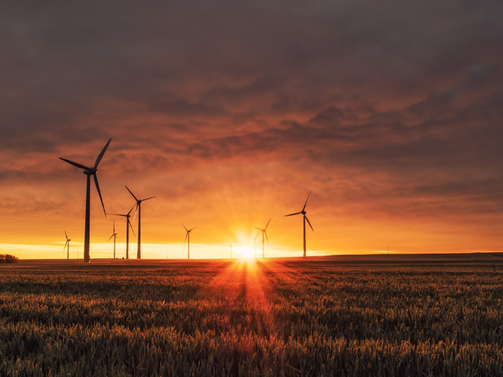 "The EU’s climate target of a 55% emissions reduction by 2030 should be considered the bare minimum if we are to keep on track to fulfil the Paris Agreement goal of keeping the global temperature rise within 1.5 Celsius by 2050."