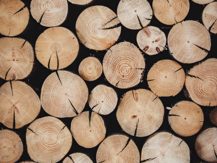 "The European Union has failed a crucial test of leadership on emissions reduction by continuing to promote the burning of forest wood for energy as a major component of its Renewable Energy Directive 2 proposal."