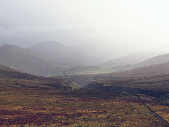 Many peatlands have been drained to increase the soil productivity for agriculture or forestry, releasing this carbon into the atmosphere as carbon dioxide.