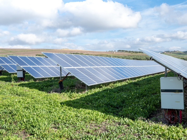 "There is a widening gap in energy spending between developed and developing economies."