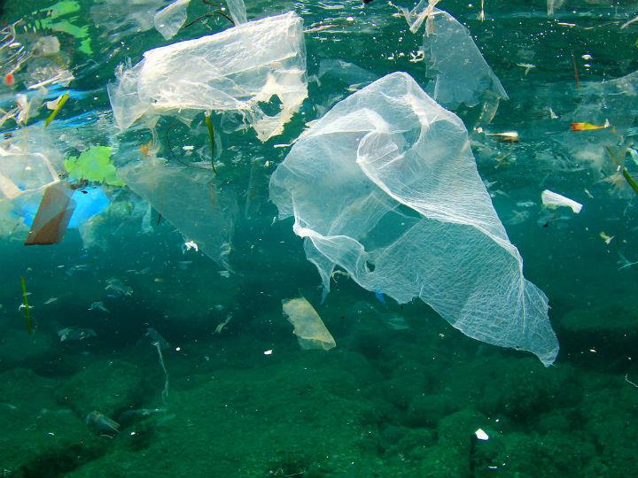 The amount of microplastics – plastic fragments under 5mm in length and which can be harmful to marine life – in the sediment were found to be some 25 times higher than previous studies.