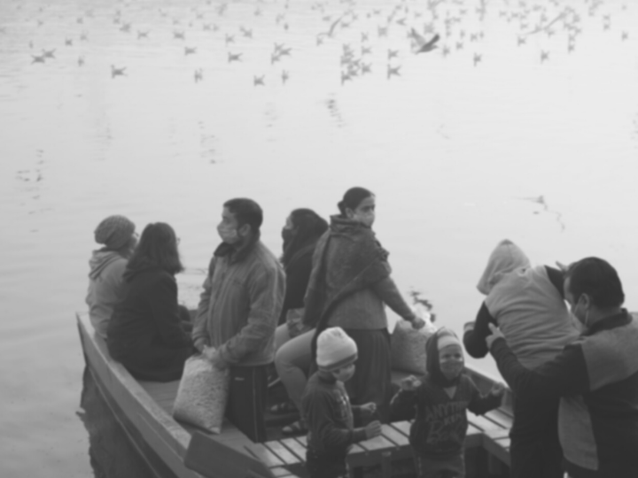 All of this describes the immediate aspects of a crisis. The danger is that focusing on the immediate obstructs badly needed thinking of ways to prevent or reduce the risk of future crises aggravated by unscrupulous governments.