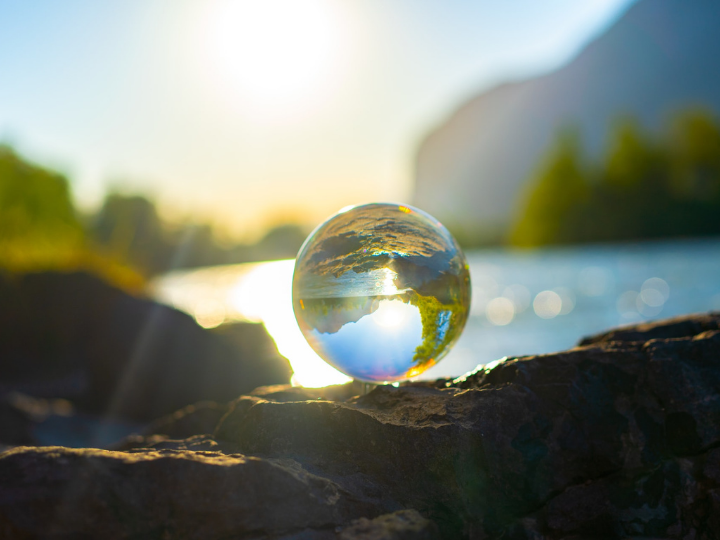 “While [the European Commission] talks about sequestering more carbon in Europe and improving biodiversity in Europe, the bottom line is that it basically sacrifices all of that for bioenergy”.