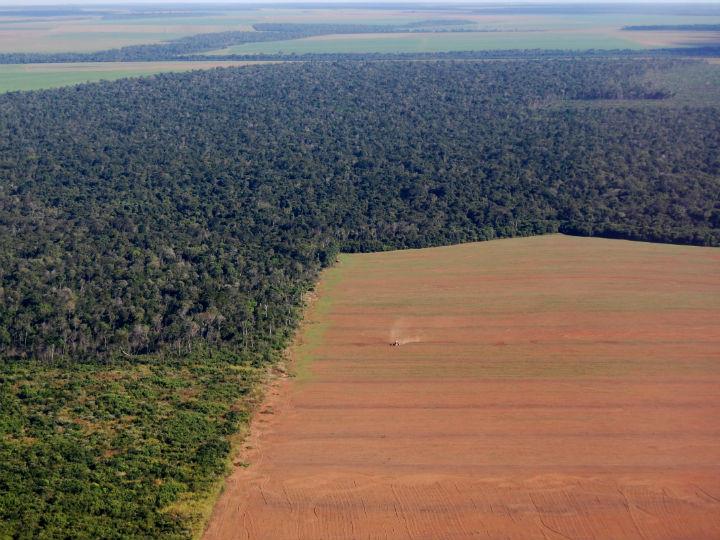 Ecosystems have declined in size and condition by 47% globally compared to estimated baselines, and species populations have faced stark declines.