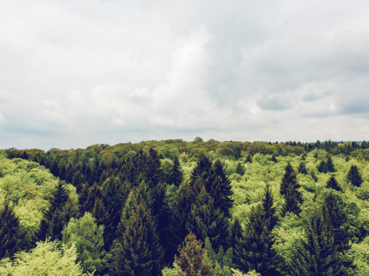 Implementing nature-positive policies could generate an estimated $10 trillion in new annual business value and create 395 million jobs by 2030