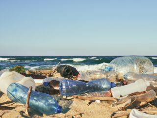 Globally, at least 800 marine and coastal species are affected, 17% of which are threatened or critically endangered, according to the International Union for Conservation of Nature.