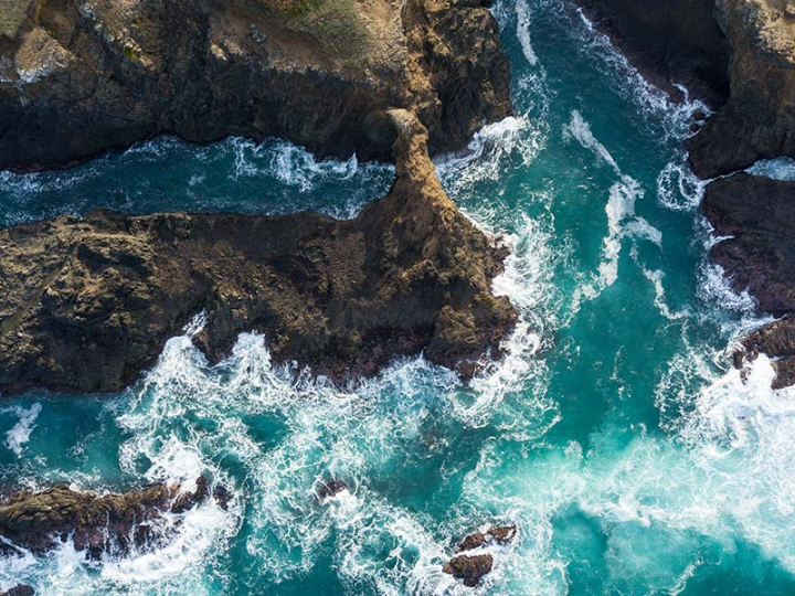 "Turning commitments and ideas into the actions needed for a sustainable blue economy will require evidence and data."
