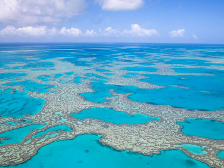 Three marine World Heritage sites around Australia account for about 40% of the estimated 5 billion tonnes of CO2 and other greenhouse gases stored across these sites, according to UNESCO, the UN’s educational, scientific and cultural organization.