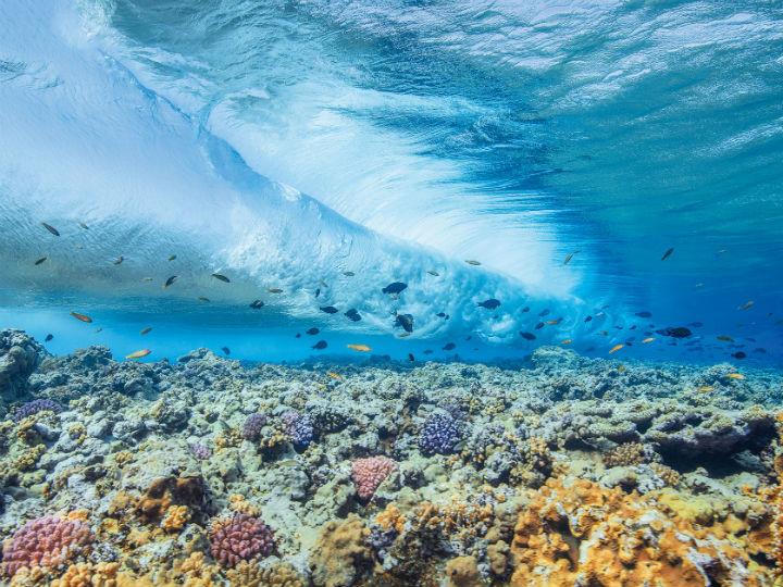 "As human activities have significantly increased greenhouse gas emissions, the ocean has moderated the effects, absorbing more than 90% of excess heat and approximately 30% of excess carbon emissions, sparing us from the extreme impacts we would otherwise experience on Earth."