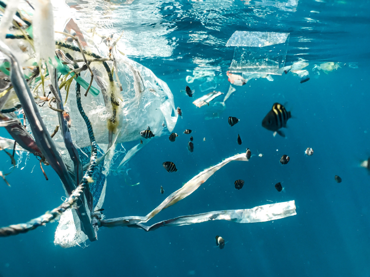 The EU’s own marine environment is in a dismal state, with 99% of European waters unprotected from “high impact activities”, like bottom trawling or mining.