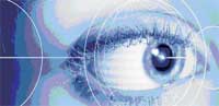 Identification in the Twinkle of the Eye