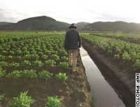 Peru finds EU bans hard to digest