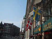 Nordic countries top gender gap study