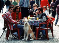 Commission in new communications drive