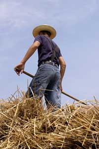 'Old' EU eases labor barriers