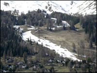 Piste pressure on alpine plants