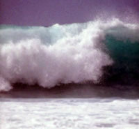 WTO: the tsunami will not sink world tourism