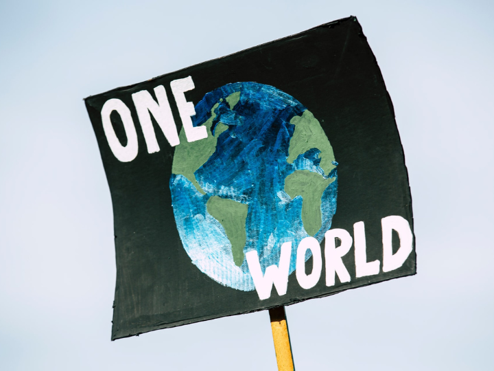 The EU had already reduced its emissions by 26% in 2019 and had achieved its 20% target before the COVID-19 pandemic lockdowns started to impact emission levels, the EEA said.