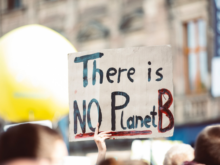"Climate economist William Nordhaus observed that the problem with getting all countries to cut their emissions faster is that, from a short-term economic standpoint, nations are effectively incentivised to ‘free ride’ on the efforts of others rather than moving first".