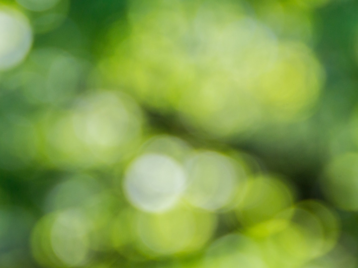 If global warming is to be kept below 1.5 oC, the world must act now to reduce carbon emissions. Achieving this objective requires substantially lowering fossil fuel use through a clean energy transition.